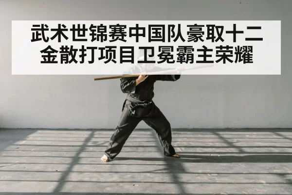 武术世锦赛中国队豪取十二金散打项目卫冕霸主荣耀